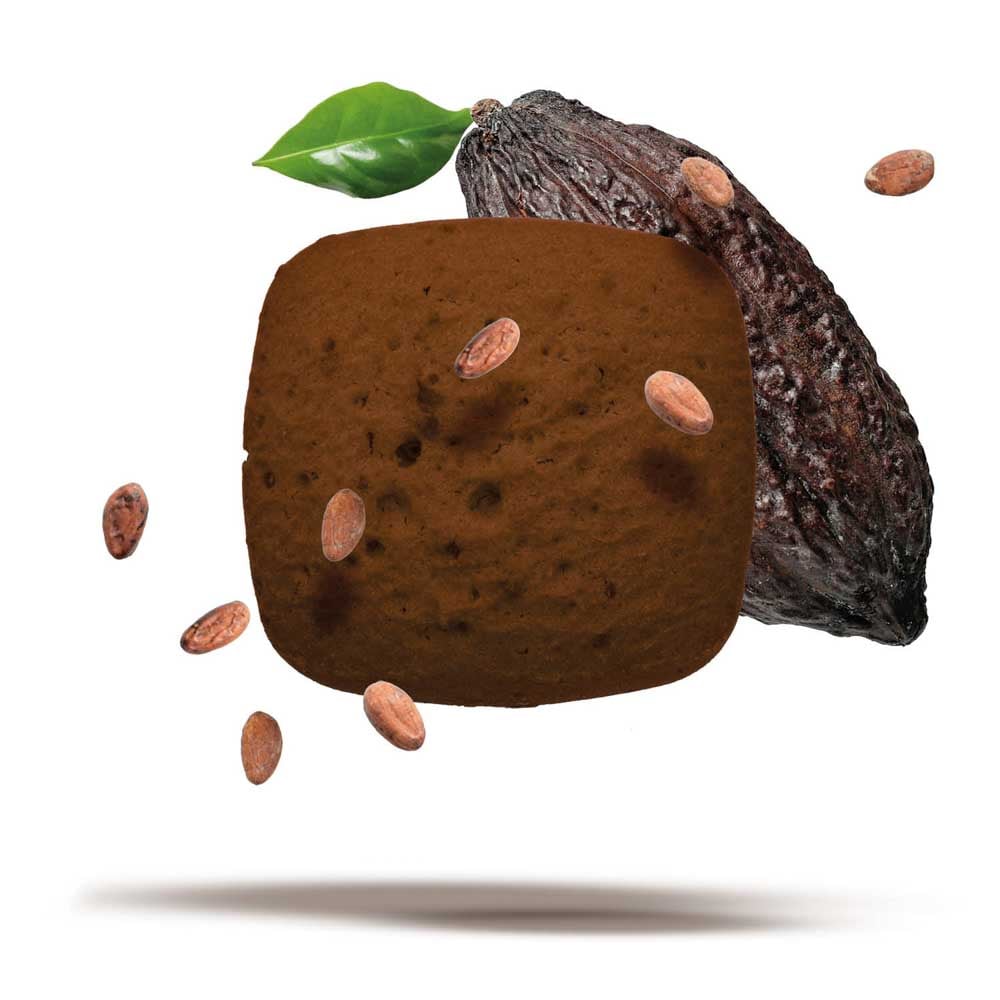Ciaocarb IAF00073108 ProtoBisco Stage 2 - 10 Confezioni Da 50g Al Cioccolato, Snack Low Carb Con Fibre